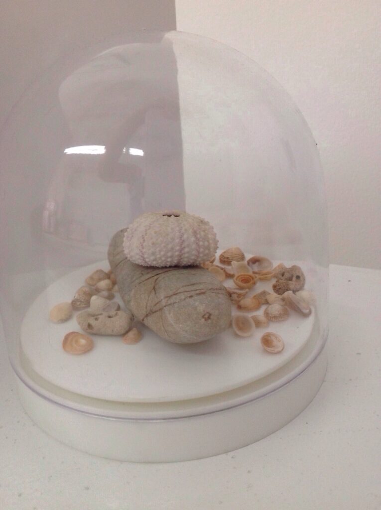 Contemporary Sculpture, Natural Materials artwork, Art from Nature, Seashells, Rock formation sculpture