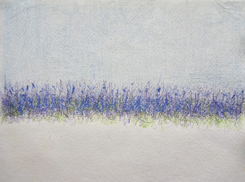 Watercolor crayon painting, Field painting, Nature artwork, Contemporary Art on Paper, Catalunya Fields