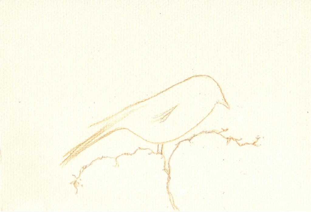 Bird drawing, Gold pencil Drawing, @ElleMaldonado_Art, Art on Paper, Art on Paper,