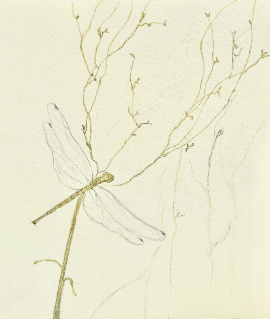 Dragon Fly Drawing, Gold pencil Drawing, @ElleMaldonado_Art, Art on Paper, Art on Paper, INGRESS