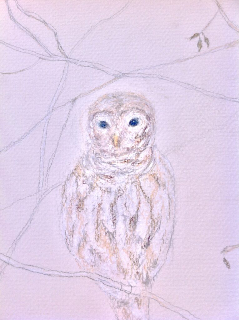 Owl drawing, Gold pencil Drawing, @ElleMaldonado_Art, Art on Paper, Art on Paper,