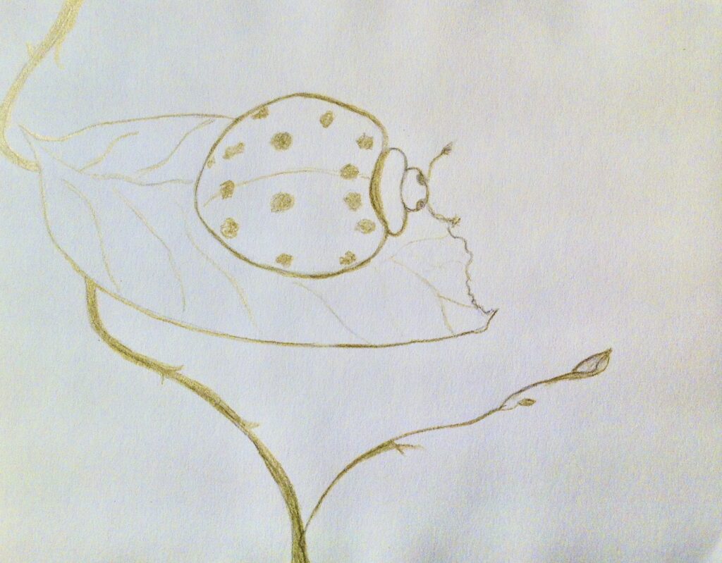 Ladybug drawing, Gold pencil Drawing, @ElleMaldonado_Art, Art on Paper, Art on Paper,