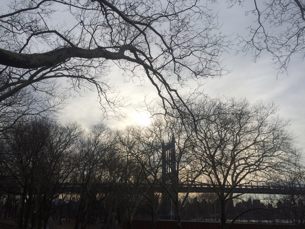 NYC, TRIBOROUGH BRIDGE FROM ASTORIA PARK PHOTO